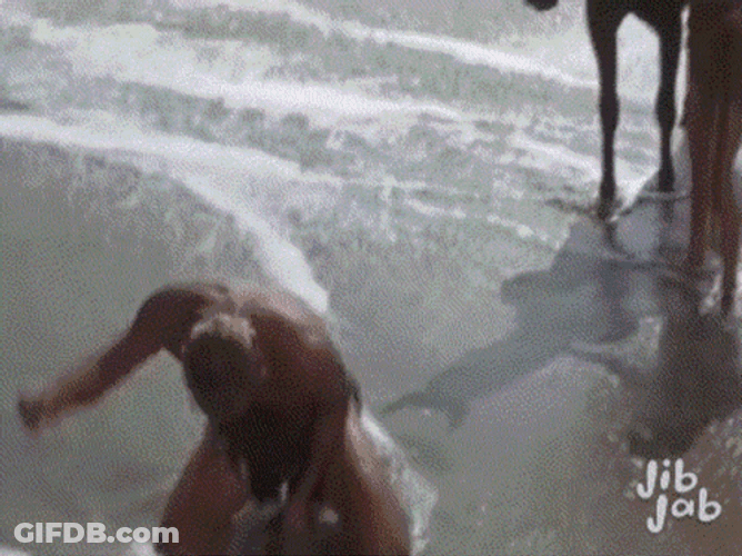 Planet Of The Apes GIF