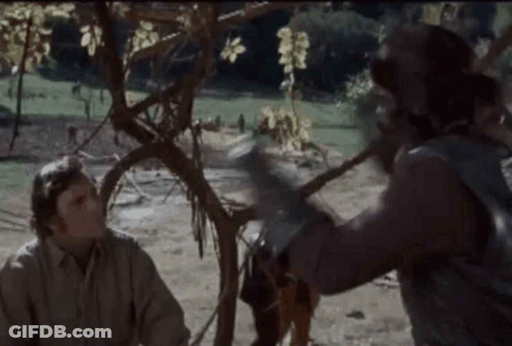 Planet Of The Apes What GIF