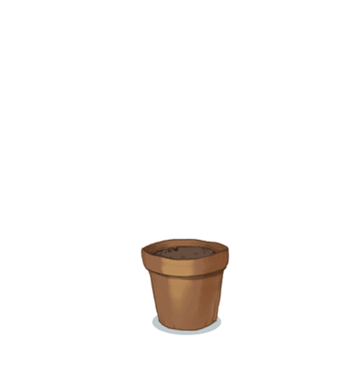Plant Growing Fast GIF
