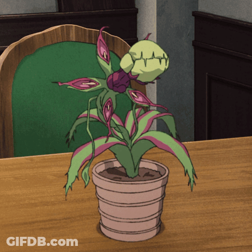 Plant In Pot On Table In Front Of Chair GIF