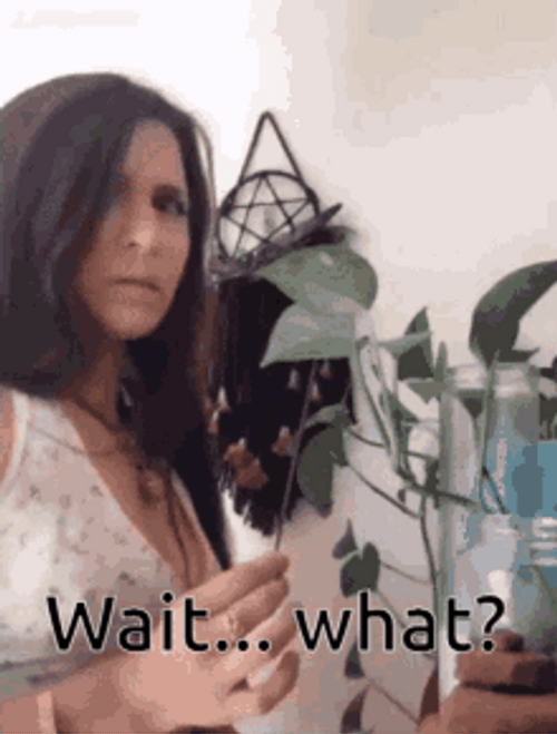 Plant Mom Wait What GIF