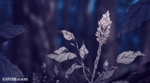 Plant With Leaves And Flower In Dark Forest GIF