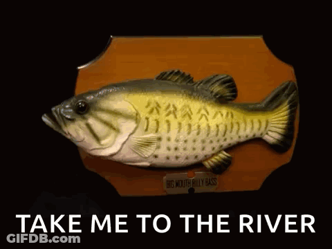 Plaque With Fish Saying Take Me To The River GIF