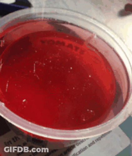 Plastic Cup Filled With Red Liquid Saying Yomatx GIF
