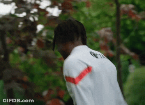 Plate Of Food With Esquire GIF