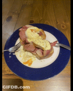 Plate Of Food With Fork And Knife GIF