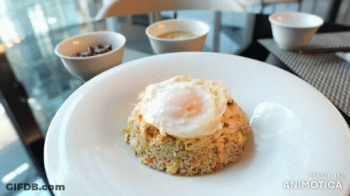 Plate Of Fried Rice With Fried Egg Animotica GIF