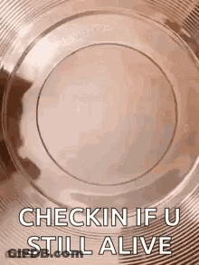 Plate Saying Checkin If U Still Alive GIF