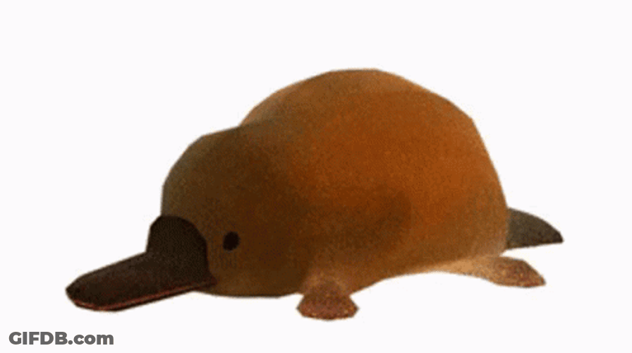 Platypus Balloon Deflating GIF