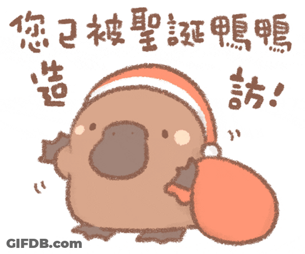 Platypus Wearing Chrismas Hat GIF