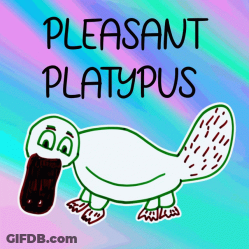 Platypus With Pleasant Platypus GIF