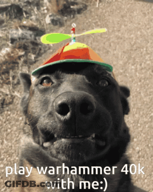 Play Warhammer 40K With Me GIF