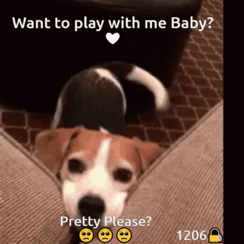 Play With Me Pretty Please GIF