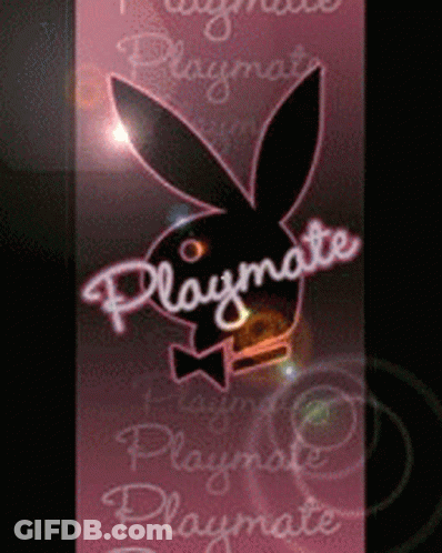 Playboy Bunny Saying Playmate On Pink Background GIF