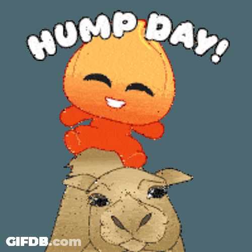 Playember Emby Sticker GIF
