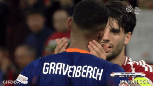 Player Gravenberch Jersey GIF