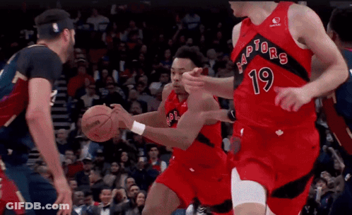 Player Number 19 For The Raptors Dribbles The Ball GIF
