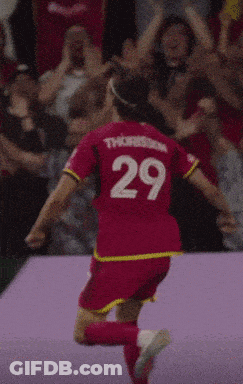 Player With Number 29 On Shirt GIF