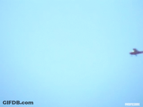 Players & Fans Deserve Better In Blue Sky GIF