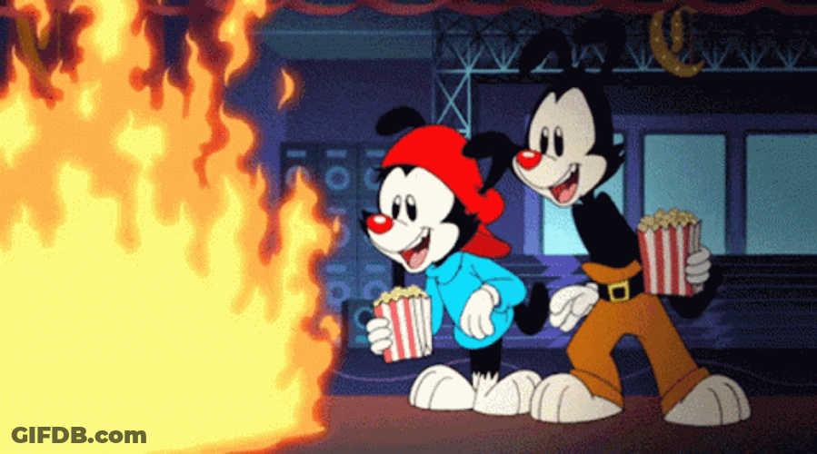 Playful Animaniacs Yakko Wakko Marshmallows Campfire GIF
