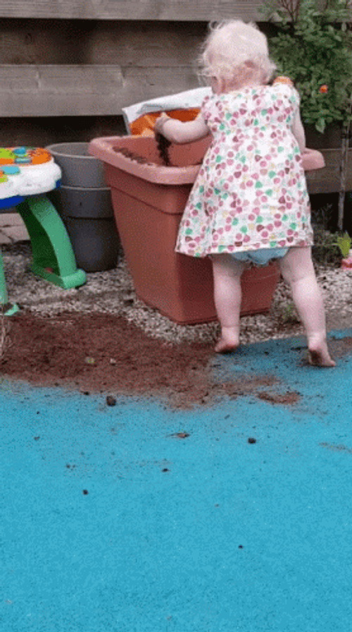 Playful Little Baby Gardening GIF