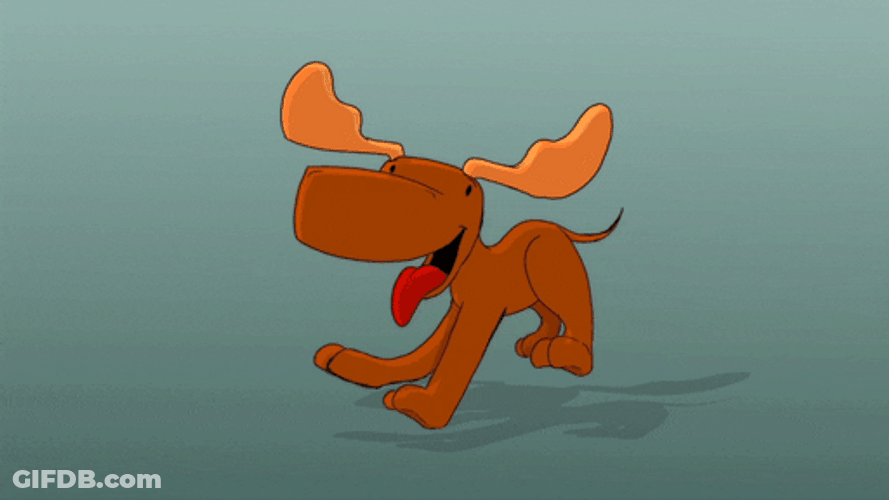Playful Moose Running GIF