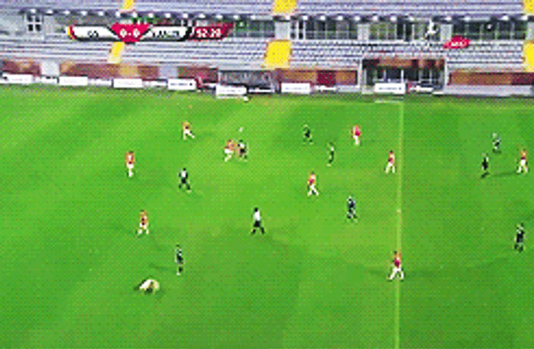 Playful Puppies Sports Football GIF