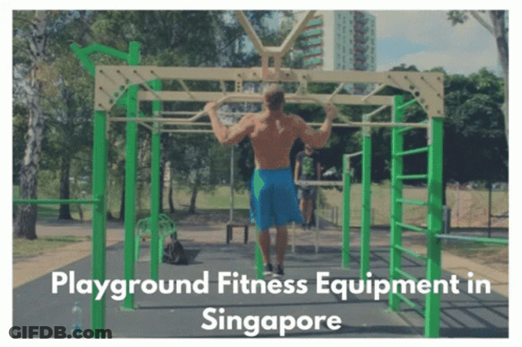 Playground Bigtoys Fitness Equipment GIF