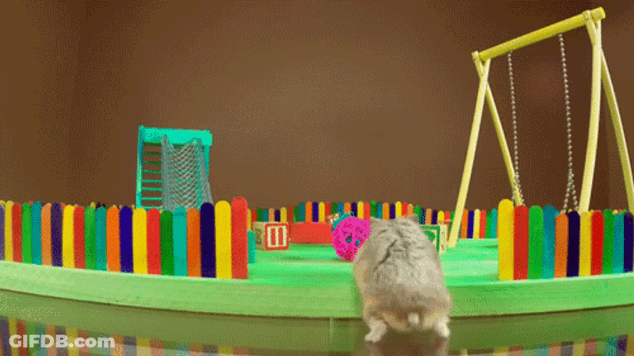 Playground Cute Hamster Playing GIF
