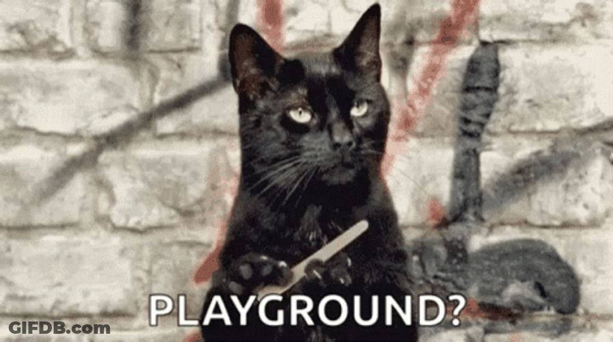 Playground Funny Cat Meme GIF