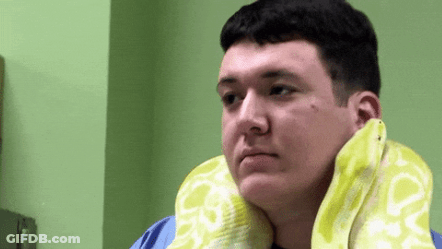 Playing Anaconda Snake GIF