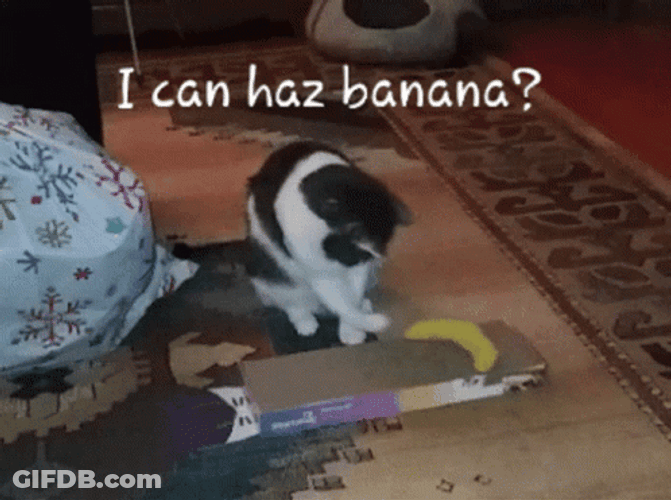 Playing Banana Cat Meme GIF