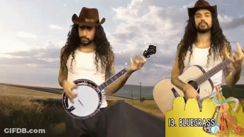 Playing Banjo Guitar GIF