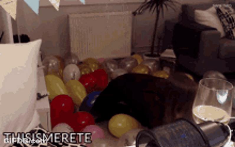 Playing Birthday Balloons Alone Celebrate GIF