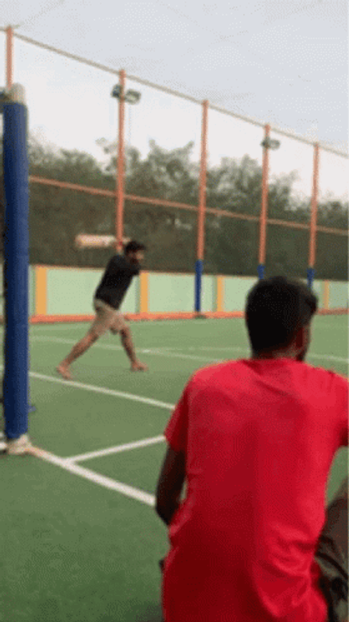 Playing Crickets Meme Game GIF