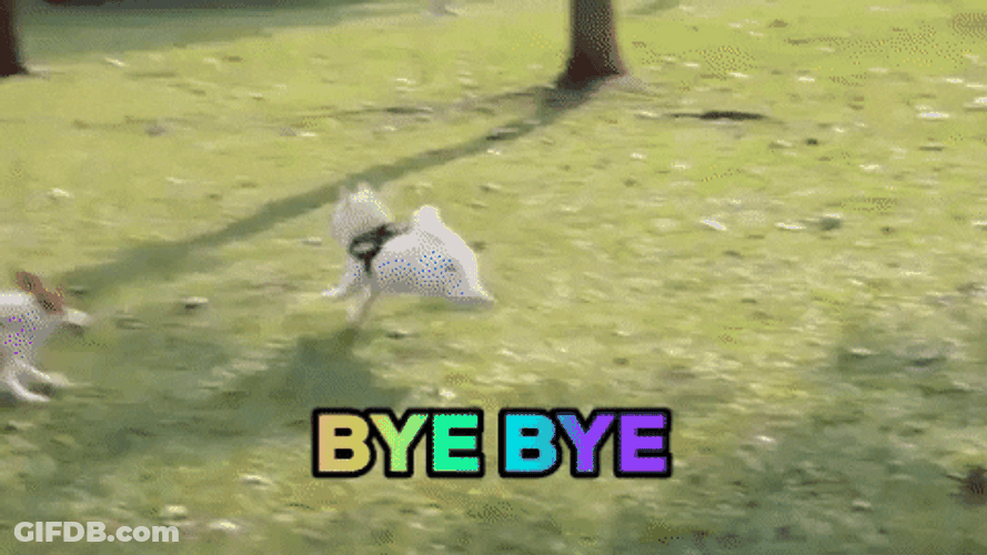 Playing Dogs Bye Bye Meme GIF