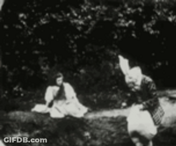 Playing Down In Rabbit Hole GIF
