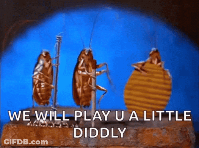 Playing Music Dancing Cockroach GIF