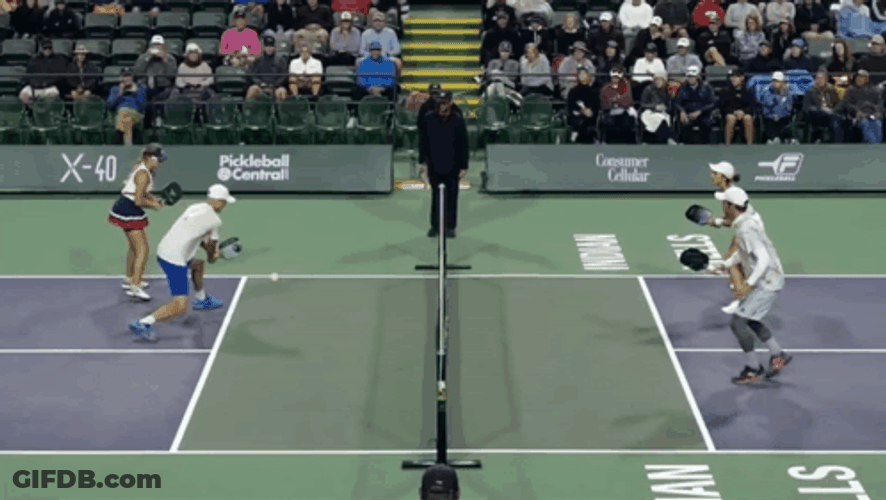 Playing Pickleball Doubles Match Up GIF