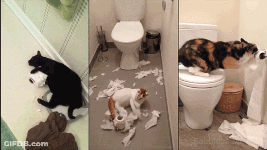 Playing Tissue Paper Moving Cat GIF
