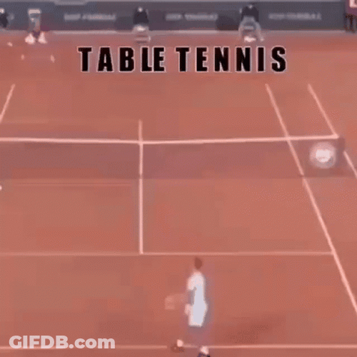 Playing With Literal Table Tennis GIF