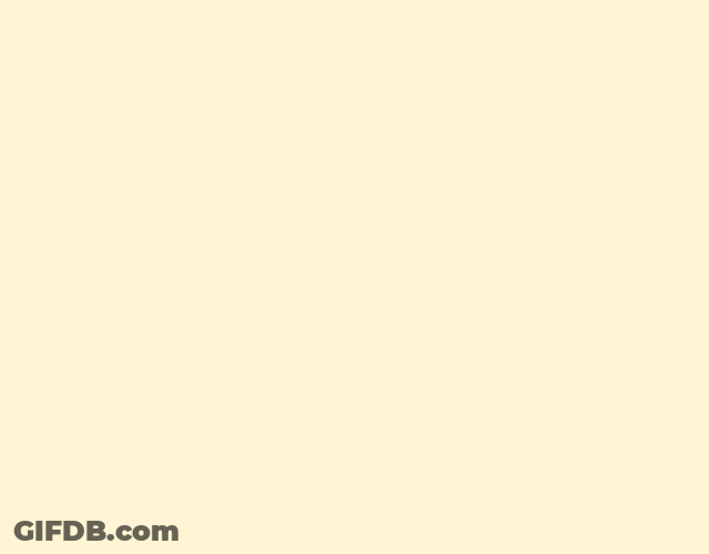 Playkids Flying Sliding Style Bee GIF