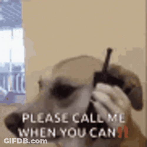 Please Call Me When You Can GIF