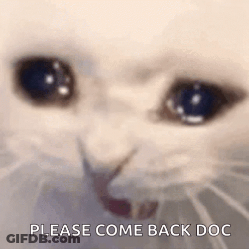 Please Come Back Doc Crying Cat Meme GIF