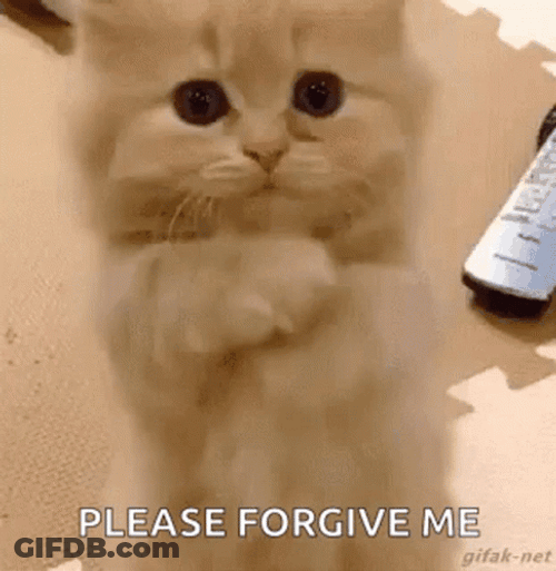 Please Forgive Me GIF