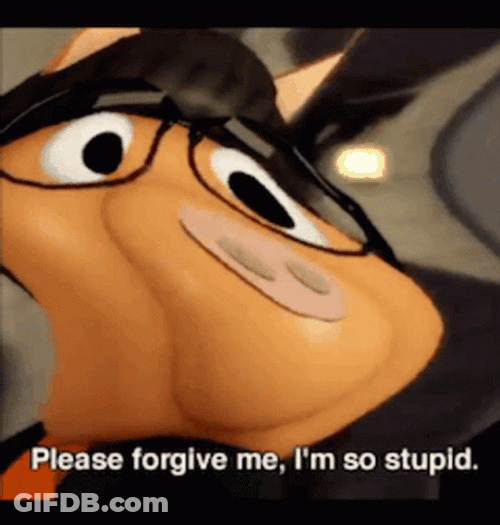 Please Forgive Me Im Stupid GIF
