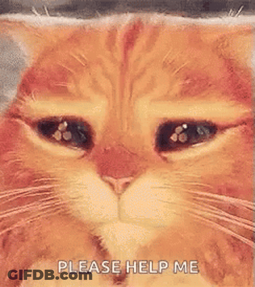 Please Help Me Puss In Boots GIF