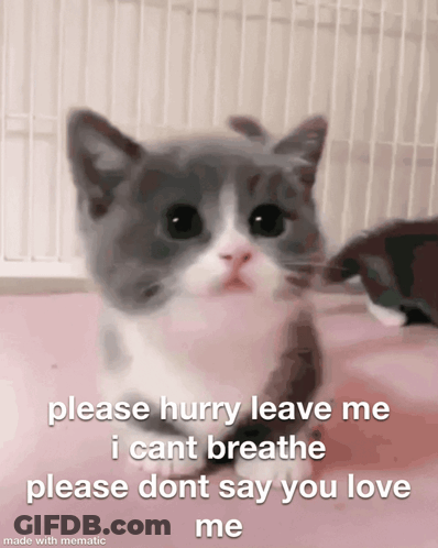Please Hurry Leave Me Mitski GIF