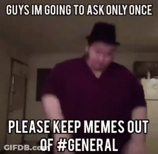Please Keep Memes Out Tuesday Meme GIF
