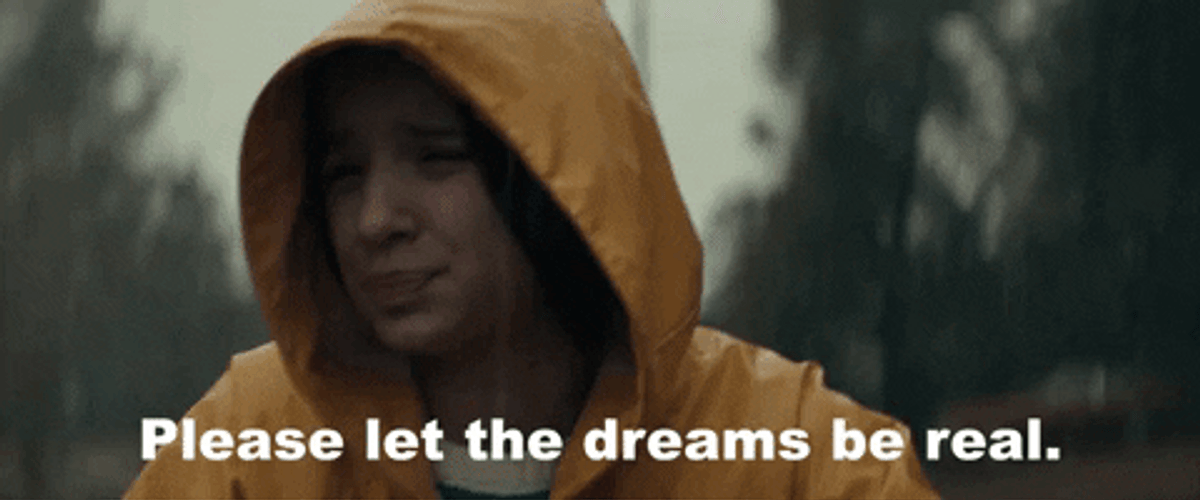 Please Let Dreams Be Real GIF